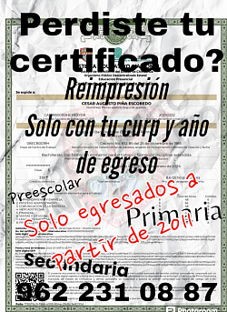 Certificado